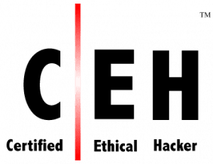 رزومه محمدحسین سخن فر